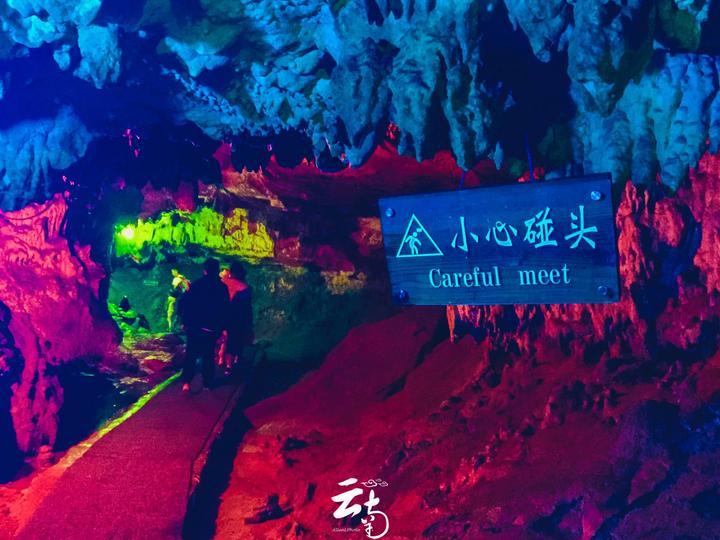 口袋侏罗纪