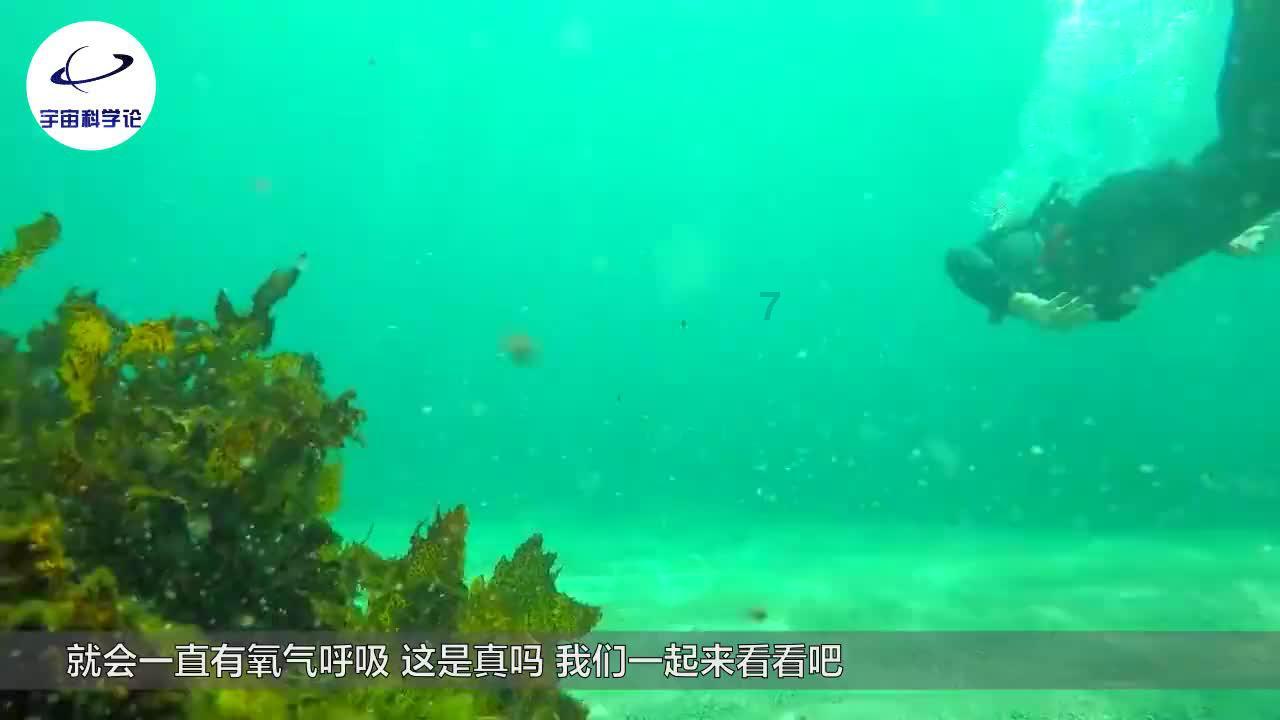 爱吃越南和广西火龙果，吃了火龙果尿液变红，却不是因为花青素？
